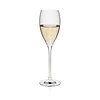 Rona Kieliszek do szampana Le Vin, 260ml