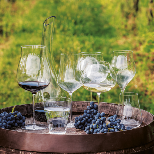 Rona Kieliszek do win białych,różowych oraz młodych czerwonych Linea Umana, 690ml Rona Kieliszek do win białych,różowych oraz młodych czerwonych Linea Umana, 690ml