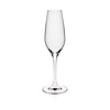 Rona Kieliszek do szampana Martina, 205ml