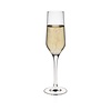 Rona Kieliszek do szampana Martina, 220ml
