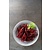 Fine Dine Talerz owalny Essence, 290mm