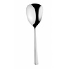 Eternum Atlantis Serving Spoon