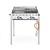 Hendi Grill gazowy Green Fire Profi Line 2-palnikowy - patelnia żeliwna i ruszt GN1/1