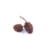 Hendi Aromatic wood chips