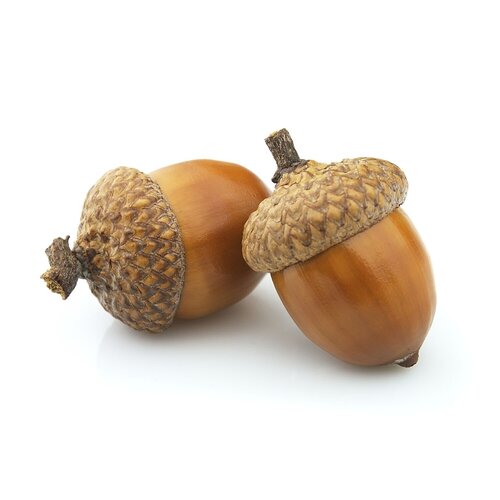 Hendi Zrębki wędzarnicze dąb 1L (250g)