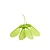 Hendi Aromatic wood chips