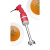 Hendi Blender zanurzeniowy z ramieniem miksującym 250 mm, 15000 obr. / min., 0,25 kW