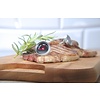 Hendi Steak Thermometer Set, -50  to 300°C, inox (Pack of 4)