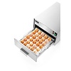 Hendi Universal floodlight for eggs and knives