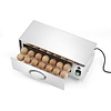 Hendi Egg floodlight, capacity 10 eggs