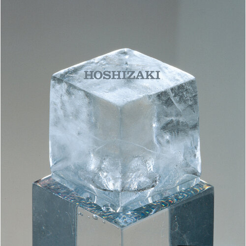 Hoshizaki Kostkarka do lodu 240kg/24h, rozmiar kostki L, zasobnik 110kg, chłodzona powietrzem Hoshizaki Kostkarka do lodu 240kg/24h, rozmiar kostki L, zasobnik 110kg, chłodzona powietrzem
