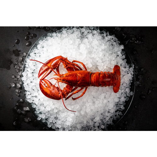 Hoshizaki Łuskarka do lodu 1800kg/24h, modularna, bez agregatu Hoshizaki Łuskarka do lodu 1800kg/24h, modularna, bez agregatu