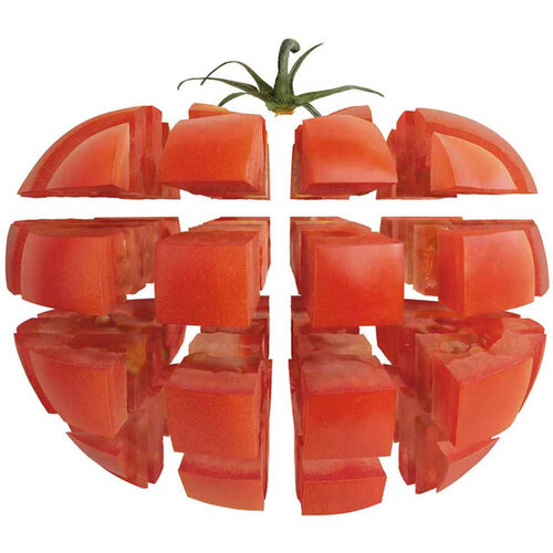 Robot Coupe Szatkownica do warzyw 0,5 kW, do 200 kg/24h, 230 V Robot Coupe Szatkownica do warzyw 0,5 kW, do 200 kg/24h, 230 V