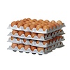 Hendi Zestaw 4 tacek na jajka OVOBOX 291x288x(h)41mm Hendi Zestaw 4 tacek na jajka OVOBOX 291x288x(h)41mm