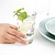 Nisbets Essentials Szklanka niska 230 ml, Nisbets Essentials FA571 (12 szt.)
