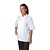 Whites Chefs Clothing Koszula kucharska z krótkim rękawem unisex Whites Chefs Clothing Boston SA821 rozmiar: 36 biała