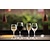 Olympia Kieliszek do wina 310 ml, Olympia Solar CU002 (24 szt.)