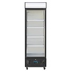 Polar Refrigeration  Szafa chłodnicza przeszklona 368L, 2 do 8°C, Polar G-Series GH427 570x620x(h)1982 mm, agregat dolny
