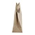 Fiesta Duże torby papierowe z uchwytem 255x(h)305 mm, Fiesta Compostable HY768 (250 szt.)