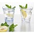 Olympia Kieliszek z poliwęglanu 350 ml, Olympia HZ082 (6 szt.)