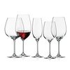 SCHOTT ZWIESEL Kieliszek do burgunda 630 ml, Schott Zwiesel GL139 (6 szt.)