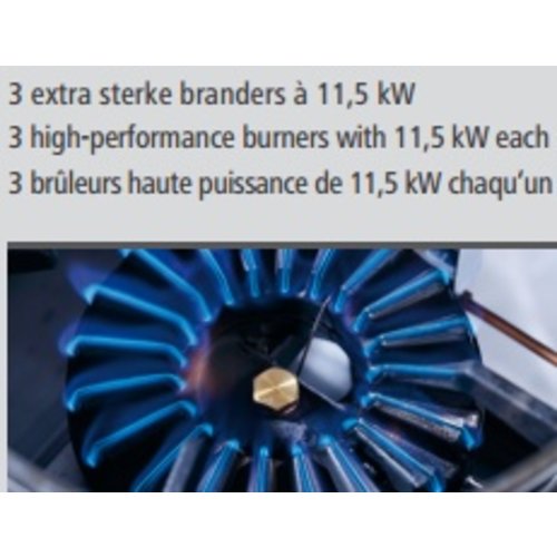 Bartscher Gas Wok Cooker with 3 Burners on an Open Base, 34,5 kW Bartscher Gas Wok Cooker with 3 Burners on an Open Base, 34,5 kW