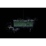 BlackWidow Ultimate Keyboard (Green Switch)