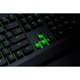 BlackWidow Ultimate Keyboard (Green Switch)
