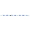 Folat Hooray a Boy Stork Letter Garland 270cm | per piece Folat Hooray a Boy Stork Letter Garland 270cm | per piece