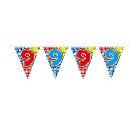 Folat Mini Vlaggenlijn Slinger 9 jaar Birthday Blocks 3mtr | per stuk Folat Mini Vlaggenlijn Slinger 9 jaar Birthday Blocks 3mtr | per stuk