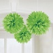 Riethmüller Pompons, limettengrün, 40 cm | 3 Stück