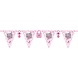 Folat It's a Girl! Bunting | 6 meters