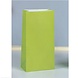 Unique Party Handout bags Lime Green 25.4x12.7x6cm | 12 pieces