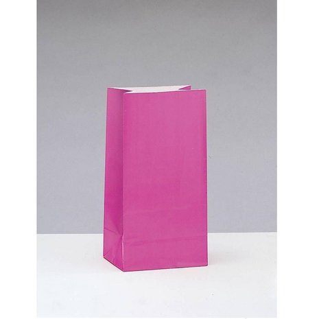 Unique Party Uitdeelzakjes Hot Pink 25.4x12.7x6cm | 12 stuks
