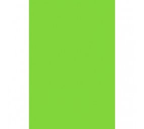 Amscan Tafelkleed Kiwi Groen 137x274cm | per stuk Amscan Tafelkleed Kiwi Groen 137x274cm | per stuk