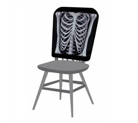 Chair Cover Skeleton Torso