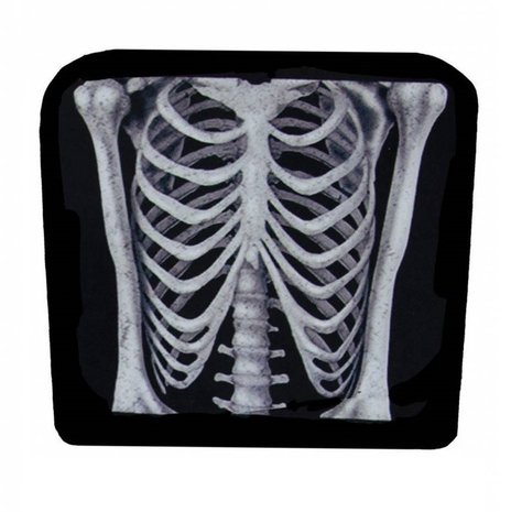 Housse de chaise Torse de squelette