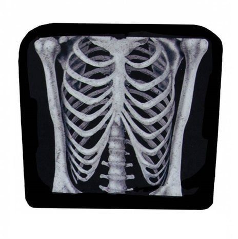 Stuhlbezug Skelett-Torso