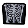Chair cover Skeleton torso