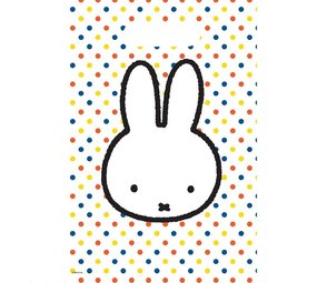 Haza - Witbaard Miffy Party Geschenktüten 17x23cm | 6 Stück