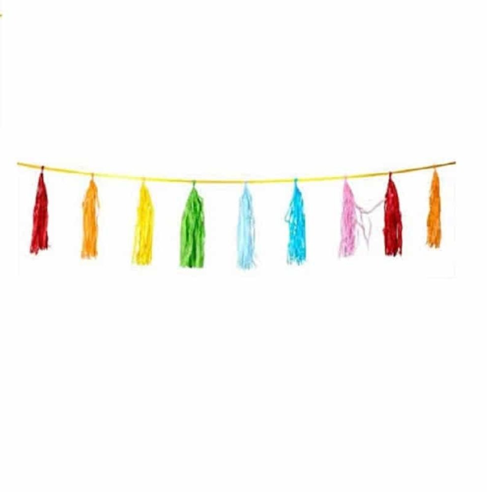 Colored paper tassel garland 3 meters Colored paper tassel garland 3 meters