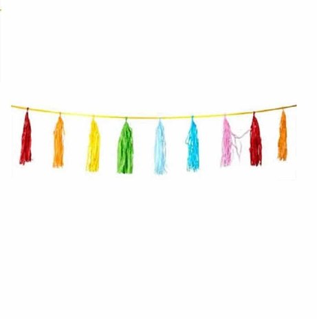 Colored paper tassel garland 3 meters Colored paper tassel garland 3 meters