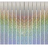 Haza - Witbaard Guirlande à franges argentées holographiques | 6 mètres