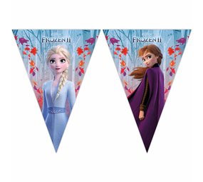 Procos Party Frozen 2 Flag Garland 2.3 m | per piece