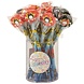 Henbrandt Crayon de pirate avec gomme 19 cm | 24 pièces