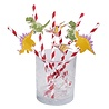 Boland Pailles dinosaures pour fête 20 cm | 6 pièces