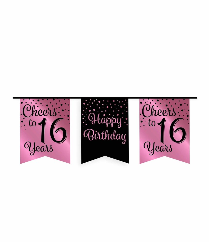 Paper Dreams Garland Cheers to 16 years rose gold/black | 6m
