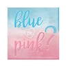 Napkins Gender Reveal Boy or Girl? 33x33cm | 16 pieces Napkins Gender Reveal Boy or Girl? 33x33cm | 16 pieces