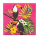 Servetten Hawaii Toekan 33x33cm | 12 stuks Servetten Hawaii Toekan 33x33cm | 12 stuks
