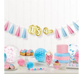 Riethmüller Gender-Reveal-Quastengirlande 240 cm | pro Stück